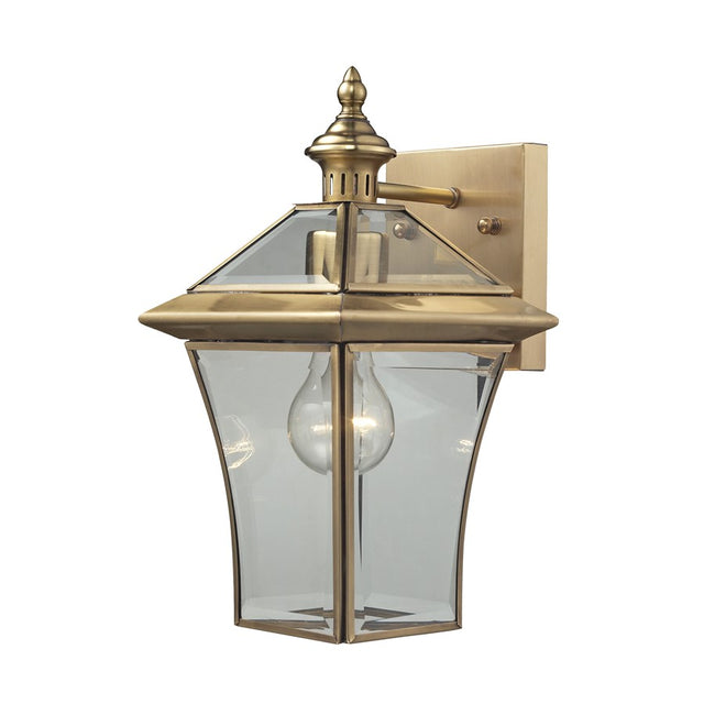 ELK Lighting Riverdale 1 Light Outdoor Sconce, Brushed Brass
